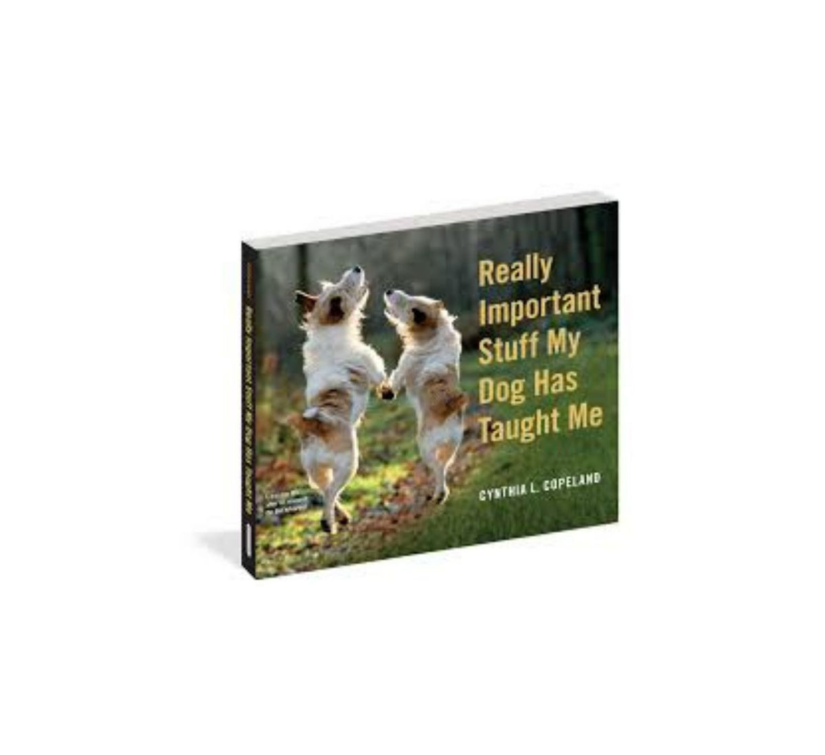 Really Important Stuff My Dog Has Taught Me P!Q Gifts