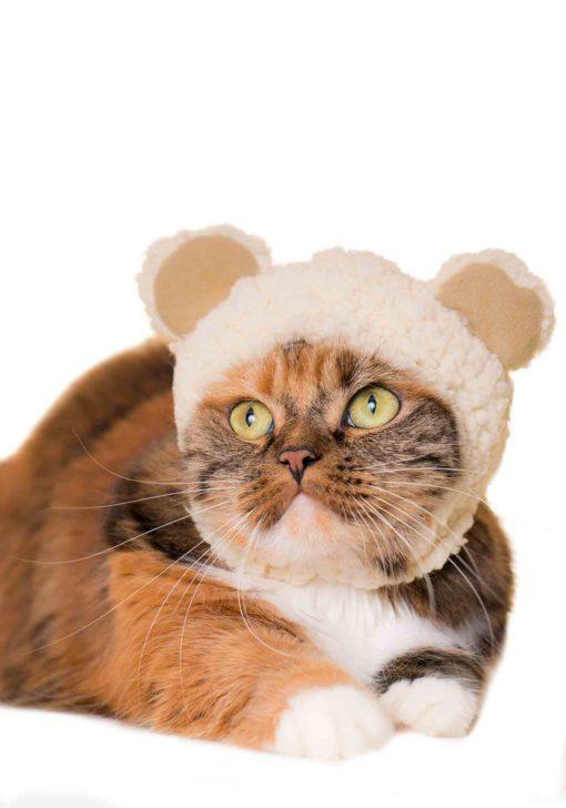 Kitan Club Cat Cap Blind Box Bear - P!Q Gifts
