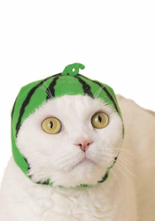 Kitan Club Cat Cap Blind Box Fruit - P!Q Gifts